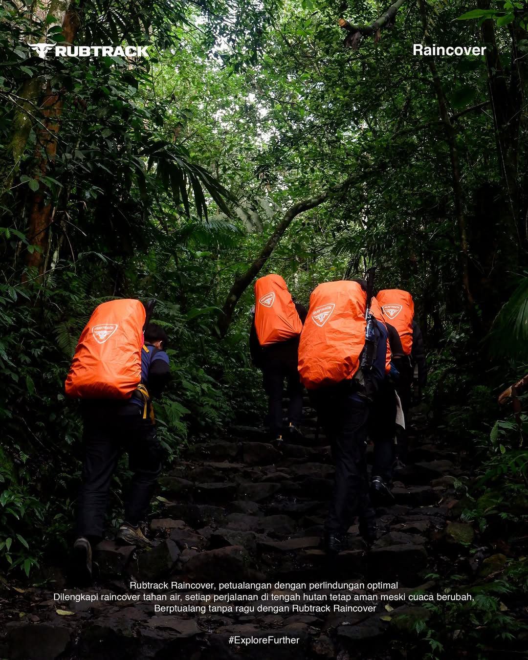 514082729 18413237287098596 1741757152741460993 n